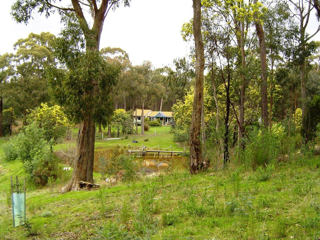Countryside Retreat Romantic Tranquil Native Wildlife Township Hepburn - Daylesford Hepburn Springs Zimmer foto