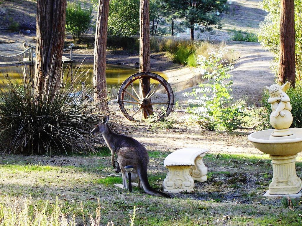 Countryside Retreat Romantic Tranquil Native Wildlife Township Hepburn - Daylesford Hepburn Springs Exterior foto