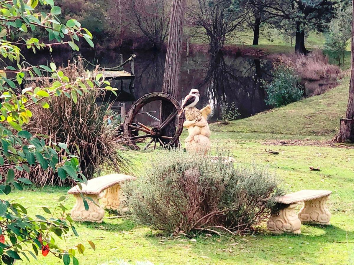 Countryside Retreat Romantic Tranquil Native Wildlife Township Hepburn - Daylesford Hepburn Springs Exterior foto